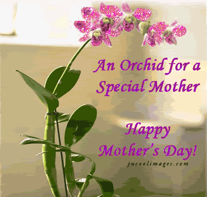 Felicitari animate de 8 Martie Ziua mamei cu mesaje in limba engleza
